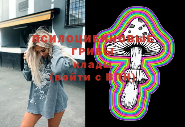 молекула духа Баксан