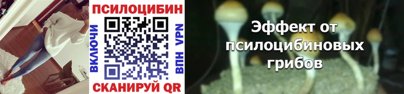 darknet клад  Сердобск  Галлюциногенные грибы прущие грибы 